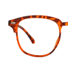 tortoiseshell