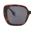 tortoiseshell