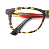 tortoiseshell