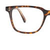 tortoiseshell