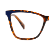 tortoiseshell
