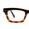 tortoiseshell