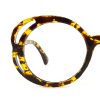 tortoiseshell