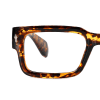 tortoiseshell