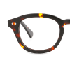 tortoiseshell