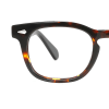 tortoiseshell