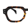 tortoiseshell