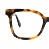 tortoiseshell