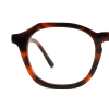 tortoiseshell