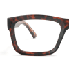 tortoiseshell