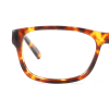 tortoiseshell