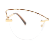 tortoiseshell
