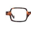 tortoiseshell
