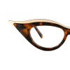 tortoiseshell