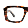 tortoiseshell