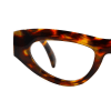 tortoiseshell