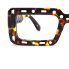 tortoiseshell