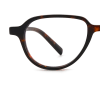 tortoiseshell