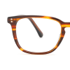 tortoiseshell
