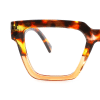 tortoiseshell