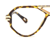tortoiseshell