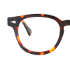 tortoiseshell