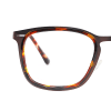 tortoiseshell
