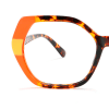 orange_tortoiseshell