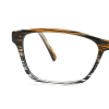 tortoiseshell