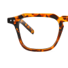tortoiseshell