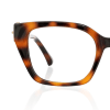 tortoiseshell