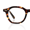 tortoiseshell