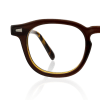 tortoiseshell