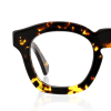 tortoiseshell