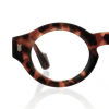 tortoiseshell