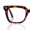 tortoiseshell