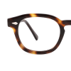 tortoiseshell