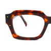 tortoiseshell