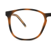 tortoiseshell