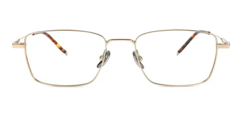 tortoiseshell