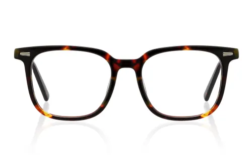 tortoiseshell