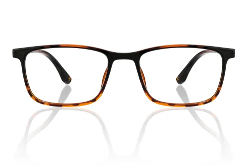 tortoiseshell