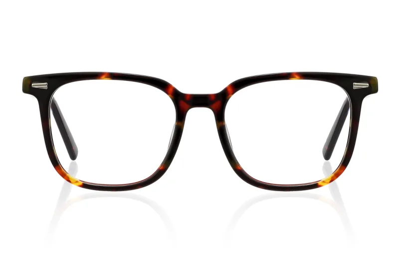 tortoiseshell
