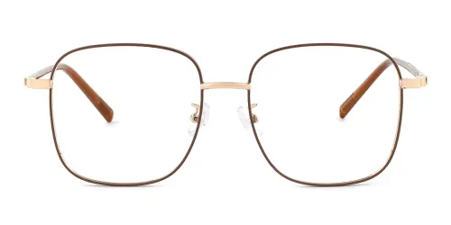 1015 Troi Rectangle brown glasses