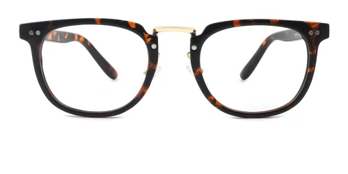 TR873 Haden Rectangle,Oval tortoiseshell glasses