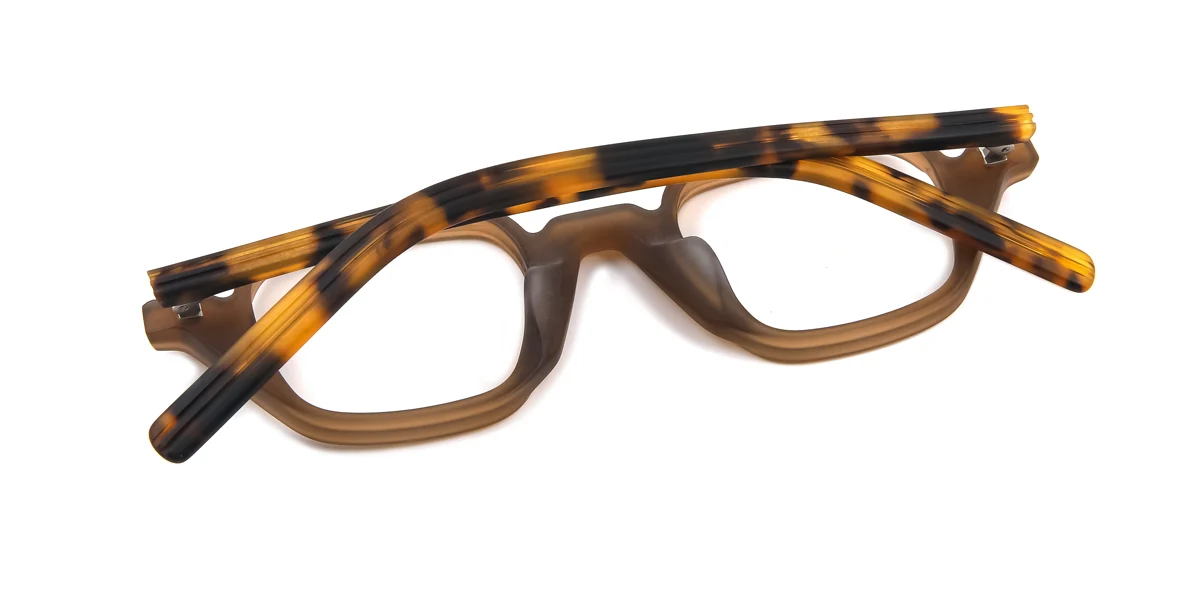 Tortoiseshell Geometric Retro  Eyeglasses | WhereLight